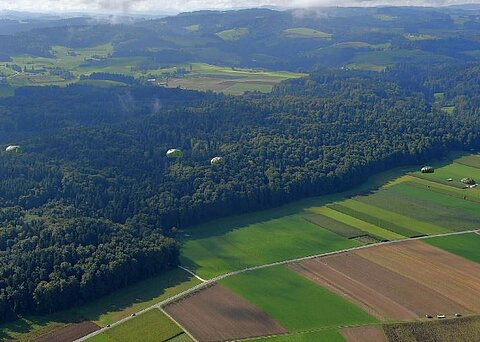 Wie Lampignions hangen sie am Himmel.