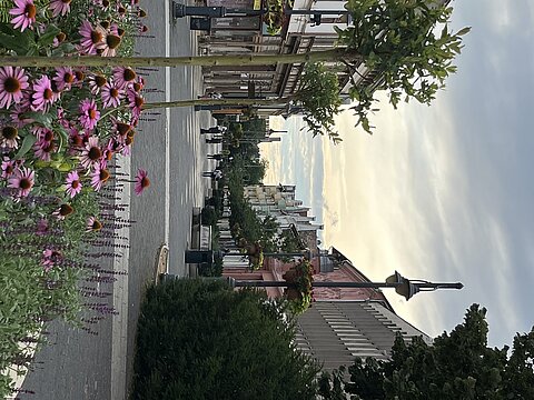 Abendstimmung in Kaposár.