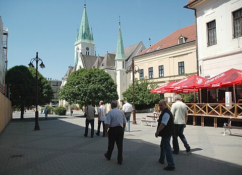 Stadtbesichtigung und Einkaufsbummel in Kaposvár.