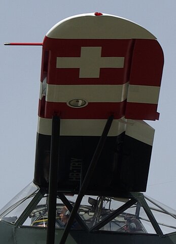 Ansicht von linker Flügelunterseite.