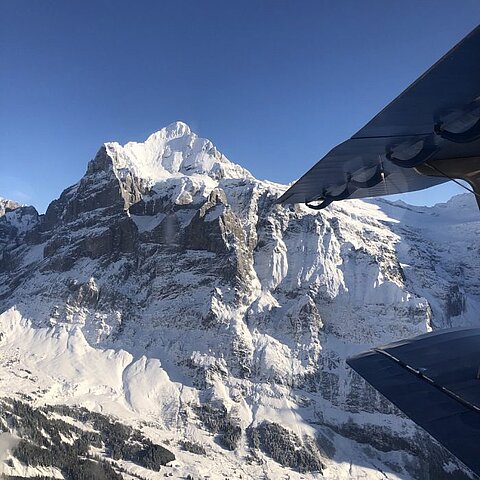 Wetterhorn.