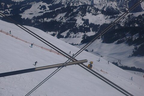 Skifahrer auf dem Hanenmoos, Lenk Adelboden.