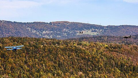 Flug über den Herbstwald.