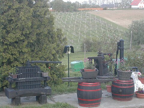 Schweizer Weinbauer.