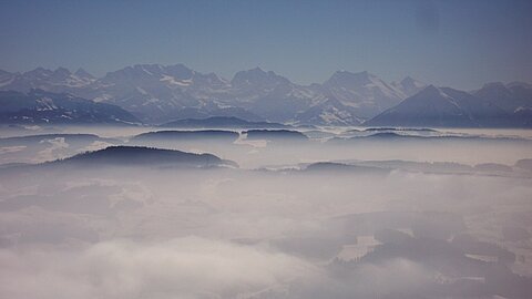 Durch den Bodennebel entstehen schöne Gegenlichtaufnahmen.