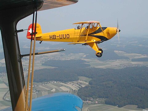 Umgebung von Thun begegnen wir diesem Bücker.