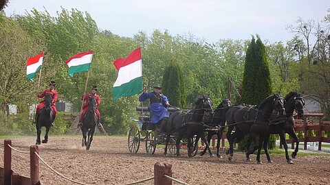 Der Park wurde von den Gebrüder Vilmos und Zoltan Lázár 2001 ins Leben gerufen.