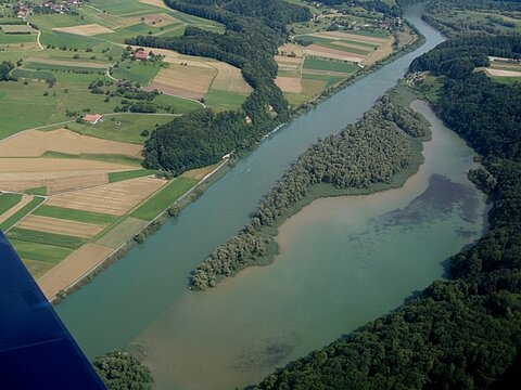 Natürlicher Flusslauf der Aare.