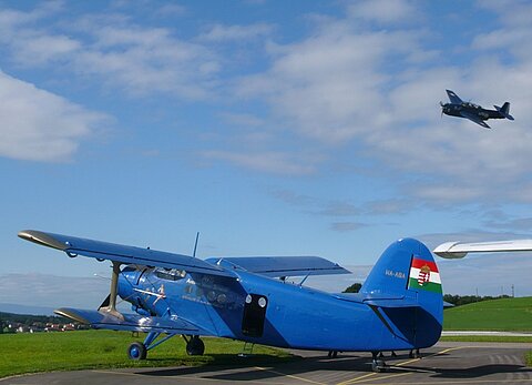 Torpedoflugzeug Grumman.