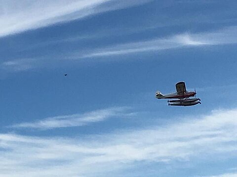 Piper Cub mit Schwimmer.